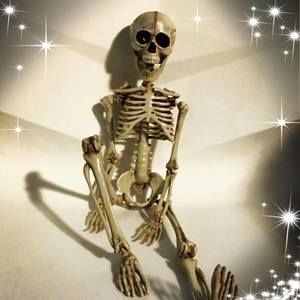 Meet your Posher, Orion